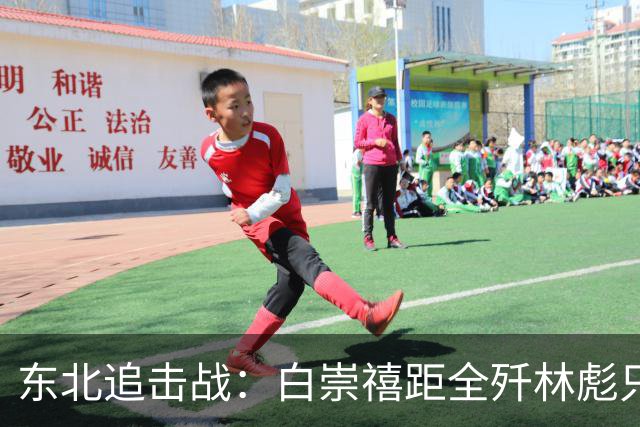 东北追击战：白崇禧距全歼林彪只差一道命令，历史差点被改写！