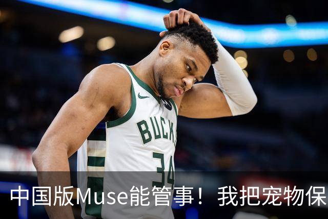 中国版Muse能管事！我把宠物保单、双11算价和周末旅行全交给了灵光2.0