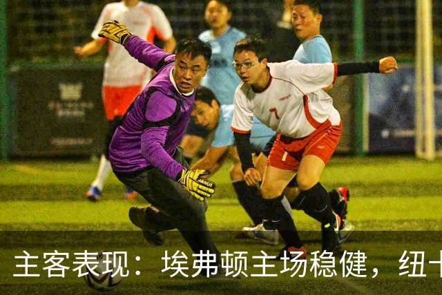 主客表现：埃弗顿主场稳健，纽卡斯尔联客场起伏