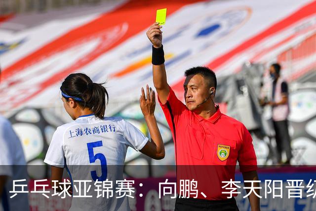 乒乓球亚锦赛：向鹏、李天阳晋级男单64强