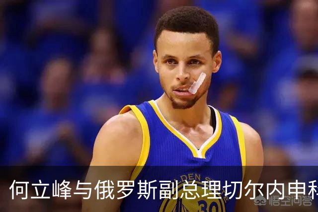 何立峰与俄罗斯副总理切尔内申科共同主持召开中俄总理定期会晤委员会第三十次会议