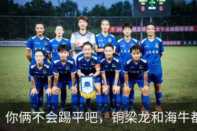你俩不会踢平吧，铜梁龙和海牛都在中超遭遇了12轮不胜