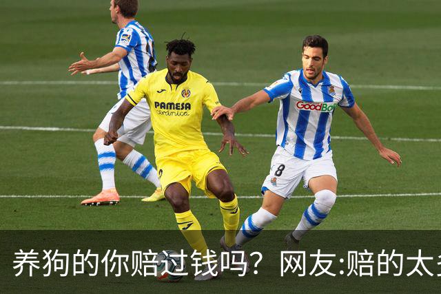 养狗的你赔过钱吗？网友:赔的太多了，它的身价蹭蹭往上涨