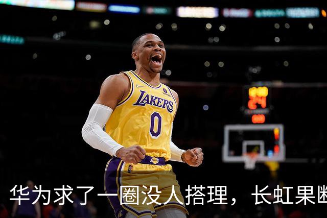 华为求了一圈没人搭理，长虹果断接盘
