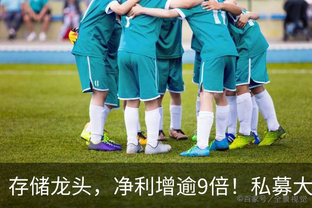存储龙头，净利增逾9倍！私募大佬重仓未动