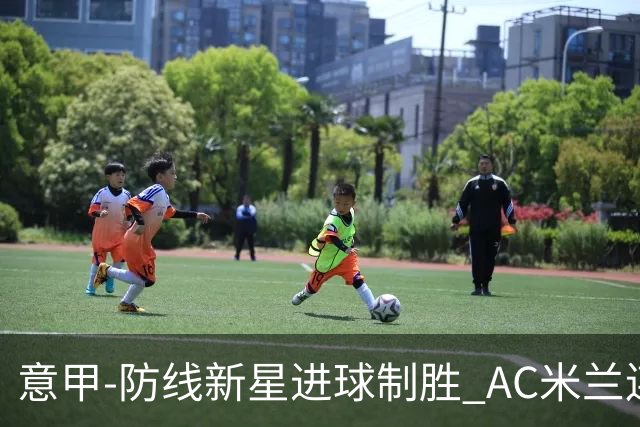 意甲-防线新星进球制胜 AC米兰连胜仍然领跑