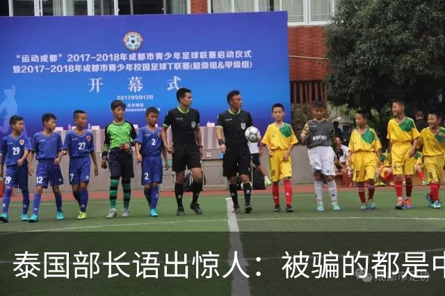 泰国部长语出惊人：被骗的都是中国人，是因为受害者自己贪心？