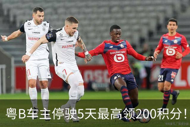 粤B车主停驶5天最高领200积分！深圳一地报名已破两万