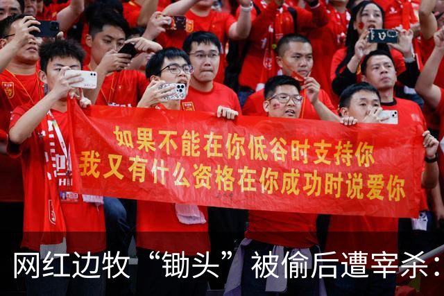 网红边牧“锄头”被偷后遭宰杀：主人接受和解，将全额捐出赔偿金