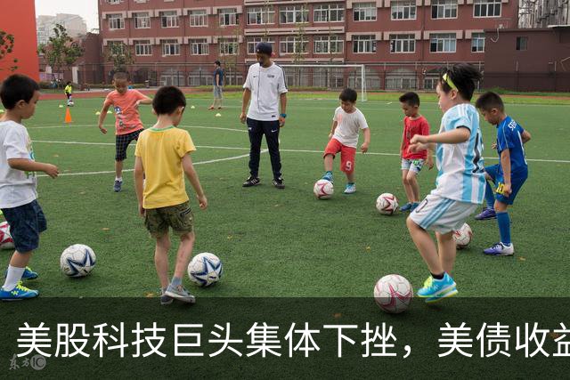 美股科技巨头集体下挫，美债收益率全线回落，资金正转向避险资产？