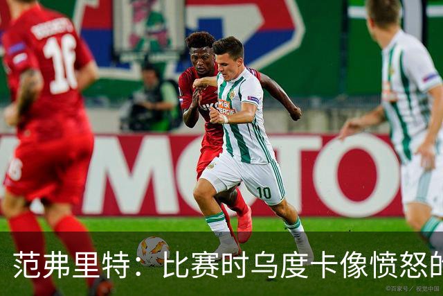 范弗里特：比赛时乌度卡像愤怒的公牛，我是沟通桥梁