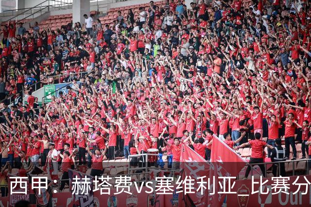 西甲：赫塔费vs塞维利亚 比赛分析