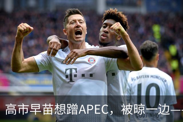 高市早苗想蹭APEC，被晾一边——这台阶修成滑梯还铺“鬼火”，滑不滑稽？