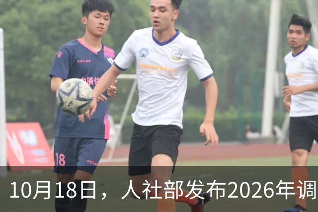 10月18日，人社部发布2026年调整退休人员养老金的通知文件了吗？