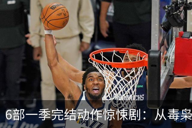6部一季完结动作惊悚剧：从毒枭运货到卧底复仇，一晚刷完